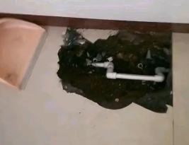 葫芦岛市卫生间测漏水多少钱
